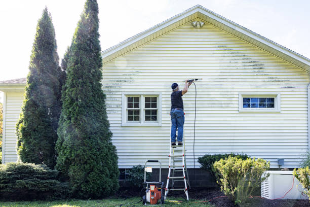 Best Patio and Deck Pressure Washing  in Rosend, LA